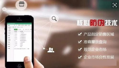 廈門二維碼防偽標(biāo)簽的軟件設(shè)計(jì)與制作 技術(shù)創(chuàng)新與市場應(yīng)用